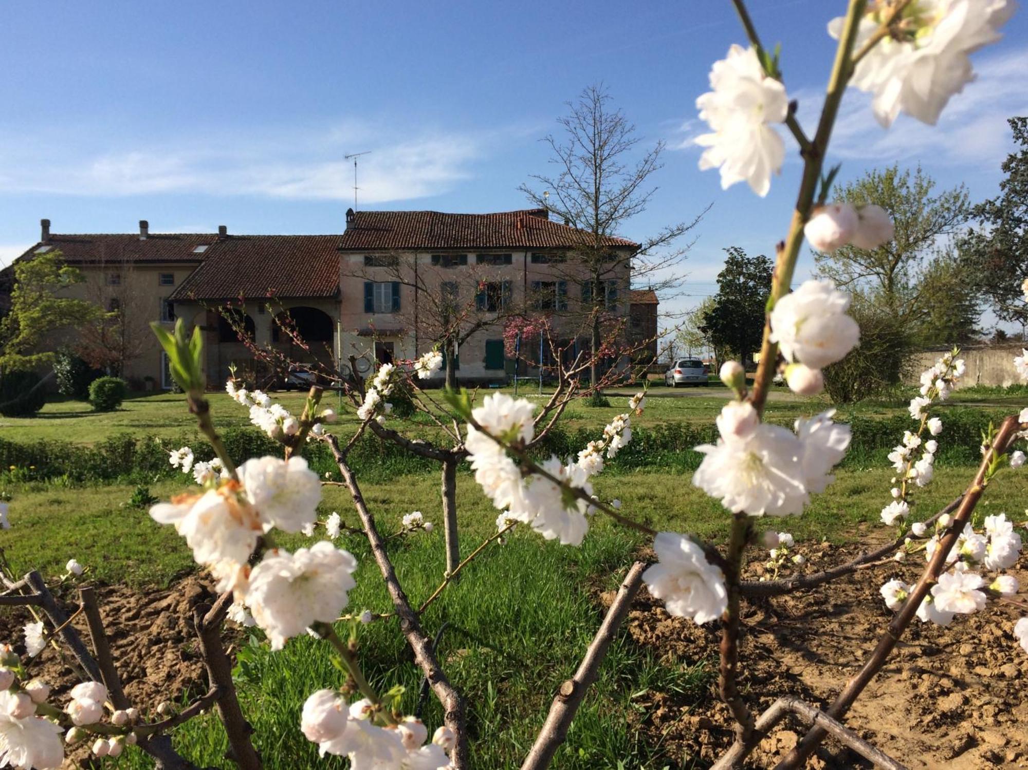 Fattoria Del Soul Hotel Bosco Marengo Exterior foto